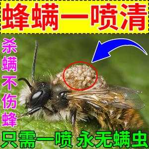 中蜂蜂螨用什么病最好_中蜂蜂螨怎么治