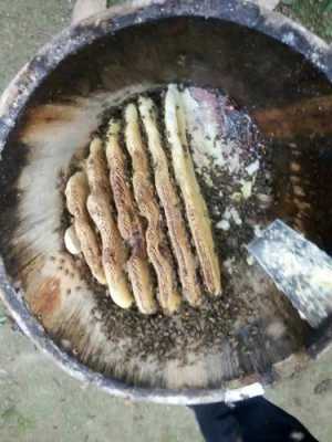 圆桶蜂蜜图片-圆桶蜂蜜怎么取蜂王浆
