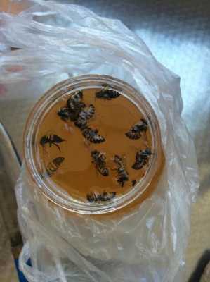 蜂蜜都让人吃了幼蜂吃什么药能死