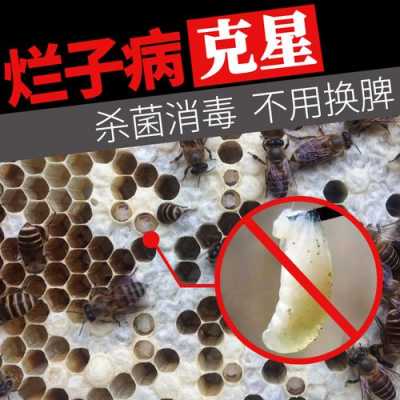 蜜蜂孢子虫病用什么药_蜜蜂幼虫烂子病