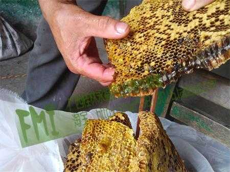 蜂巢的作用与功效与作用百度