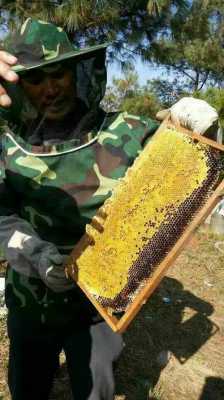  野花蜜和土蜂蜜有什么区别「野花蜂蜜好还是土蜂蜜好」