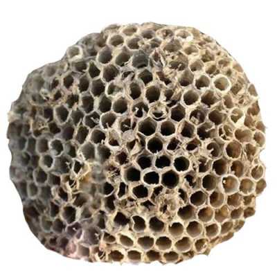 蜂巢有哪些用处-蜂巢有什么特别之处