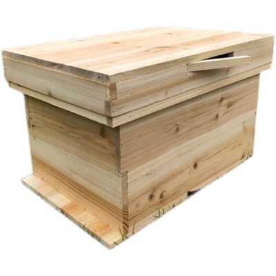 蜜蜂箱什么木板最好 蜜蜂蜂箱用什么木材好