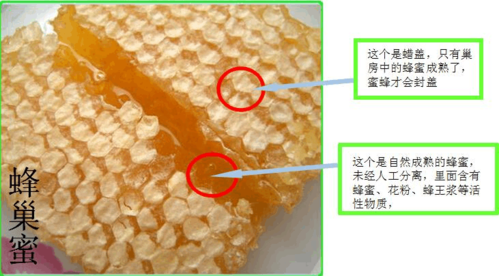  怎么分辨蜂巢蜜的真假鉴别「如何鉴别蜂巢蜜真假」