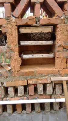 中蜂活体蜂箱怎么组装,中蜂活体蜂箱怎么组装的 