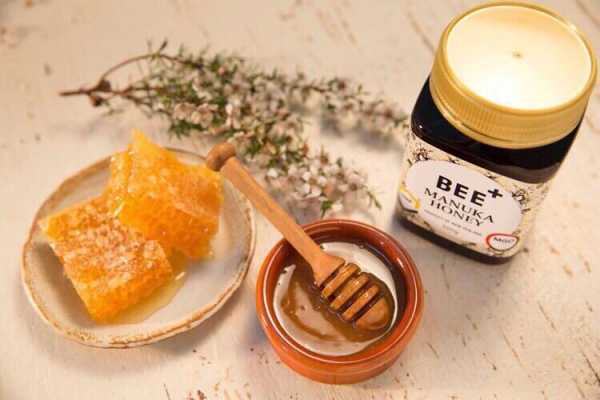  新西兰蜂蜜是什么蜂种「新西兰蜂蜜是什么蜂种做的」