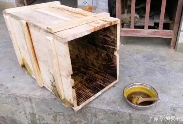 怎么引野生蜜蜂进箱子