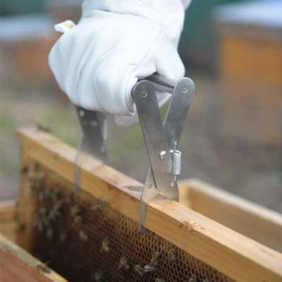  怎么固定蜜蜂脾「怎样使蜜蜂在脾上做巢」