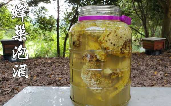 野生蜂蜜的蜂巢泡酒有什么用,野生蜂巢泡酒多长时间 