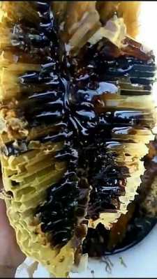 蜂蜜怎么会是黑色的