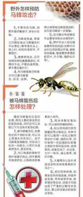 马蜂的毒是什么成分_马蜂蜂毒主要成分