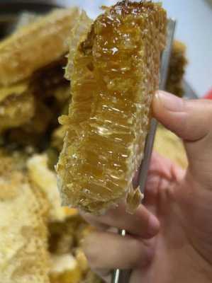 中蜂冬蜜什么时候割最好 广东中蜂冬蜜什么时候打