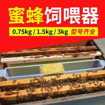 养殖蜜蜂需要什么工具,养蜜蜂需要什么技术 