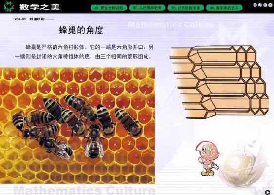蜂巢是用来做什么的 蜂巢由什么蜂组成