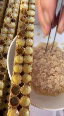  为什么吃蜂王胎对眼睛好「吃蜂王胎的危害」