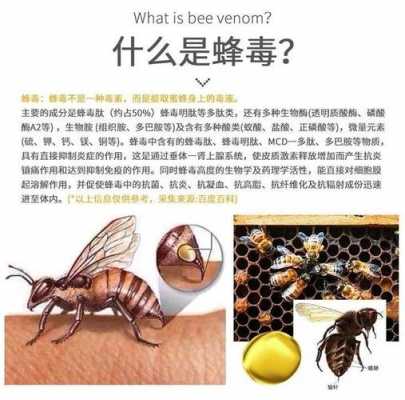 蜂毒作用是什么_蜂毒主要治什么病