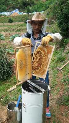 蜂蜜养殖一般用什么养,蜂蜜养殖一般用什么养的 