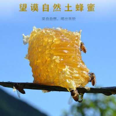 贵州什么地方产蜂蜜,贵州产蜂蜜吗 