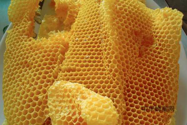 蜂蜡是蜜蜂的什么东西图片