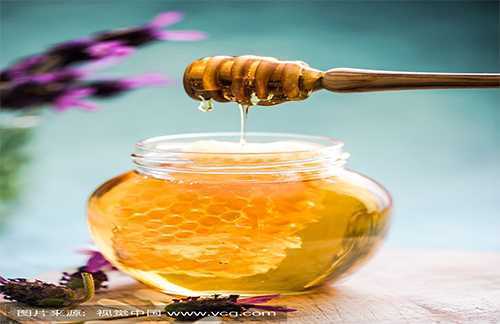 吃黑蜂蜜的好处都有什么