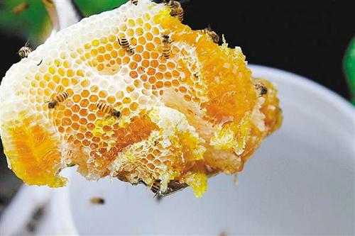 蜂蜜为什么有