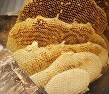 什么叫蜂巢蜜 蜂巢蜂蜜是什么蜂