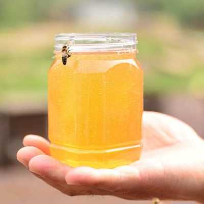  什么是蜂蜜的成熟度「蜂蜜 成熟蜜」