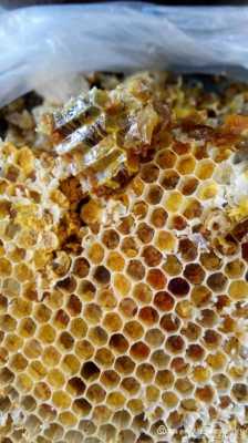  蜂巢里面没花粉是什么原因「蜂巢里面没花粉是什么原因造成的」
