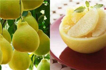  柚子什么时候吃治疗便秘「柚子啥时候吃效果最好」