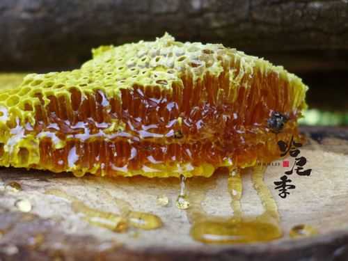 原始的蜂蜜是什么形状,原始纯蜂蜜 