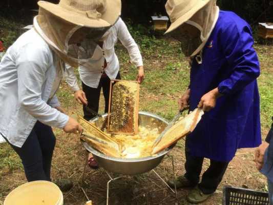 广西地区什么时候取蜂蜜最合适