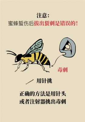 为什么蜜蜂会打抗生素,为什么蜜蜂会打抗生素的原因 