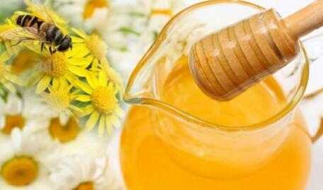 止咳喝蜂蜜还是蜂蜜水-止咳用蜂蜜煮什么区别