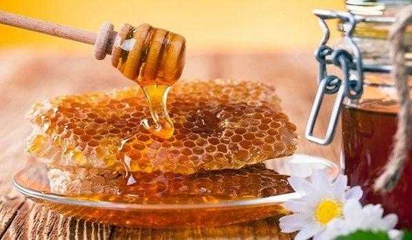 儿童秋季喝什么蜜_儿童秋季喝什么蜜蜂好