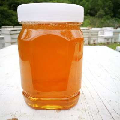 野蜂蜜有什么药用价值