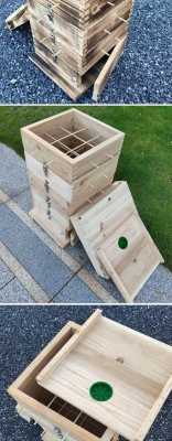 zw中蜂箱养蜂方法 中蜂用什么箱子养好
