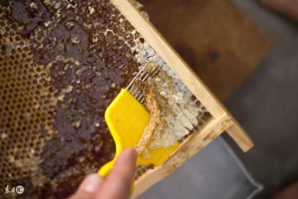 蜜蜂消毒土方法是什么意思,怎样给蜜蜂消毒 