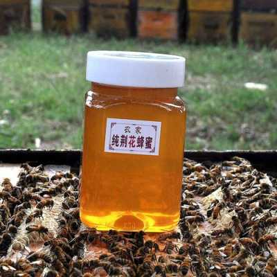 洋槐蜂蜜和荆条蜂蜜的区别? 洋槐蜜和荆条蜜有什么区别
