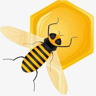 蜜蜂和蜂蜜的关系-蜜蜂和蜂蜜有什么关系