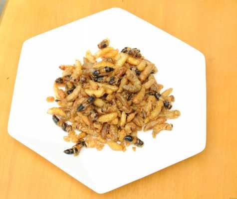 蜂蛹品牌 蜂蛹什么品种好吃